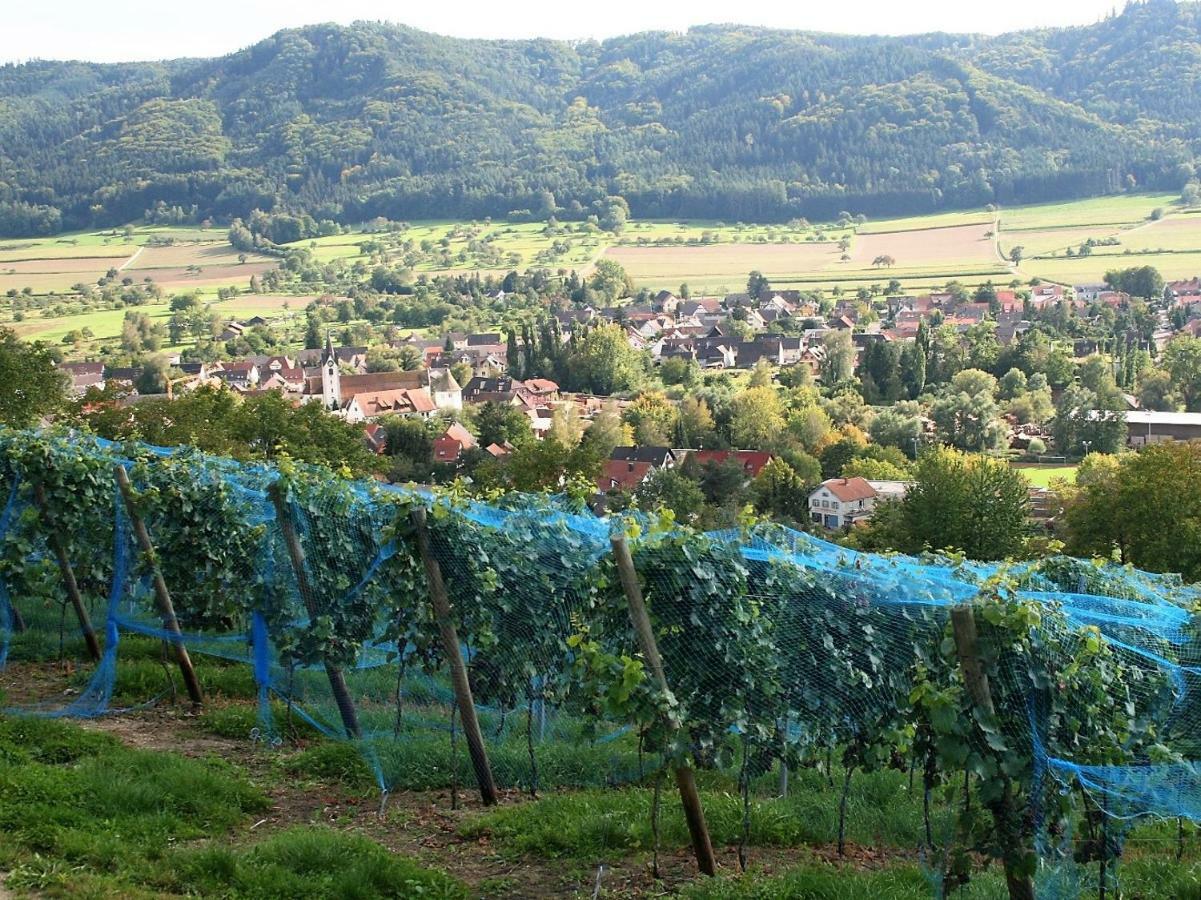 Sternen Bohlingen Aparthotel Singen Exteriér fotografie