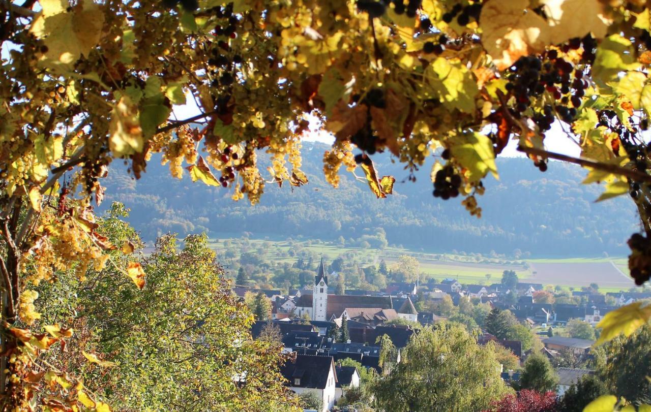 Sternen Bohlingen Aparthotel Singen Exteriér fotografie